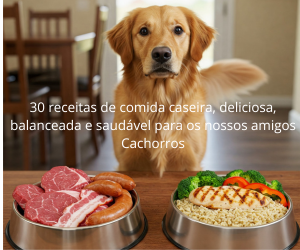 30 Receitas Saudáveis para Cachorros: Delícias Caseiras Balanceadas