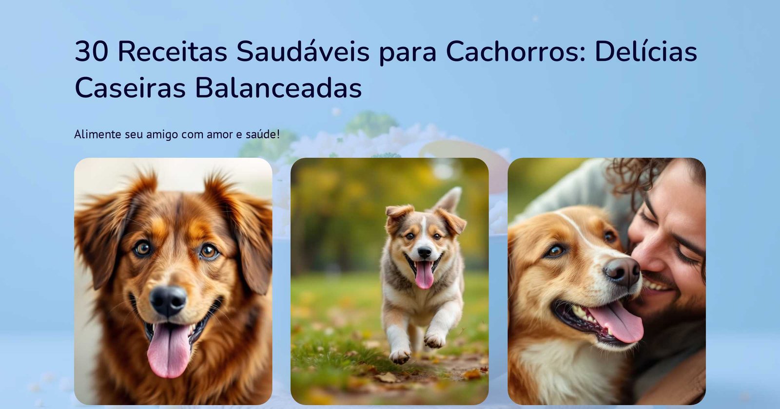 Comida Caseira para Cachorros